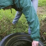 article image - 